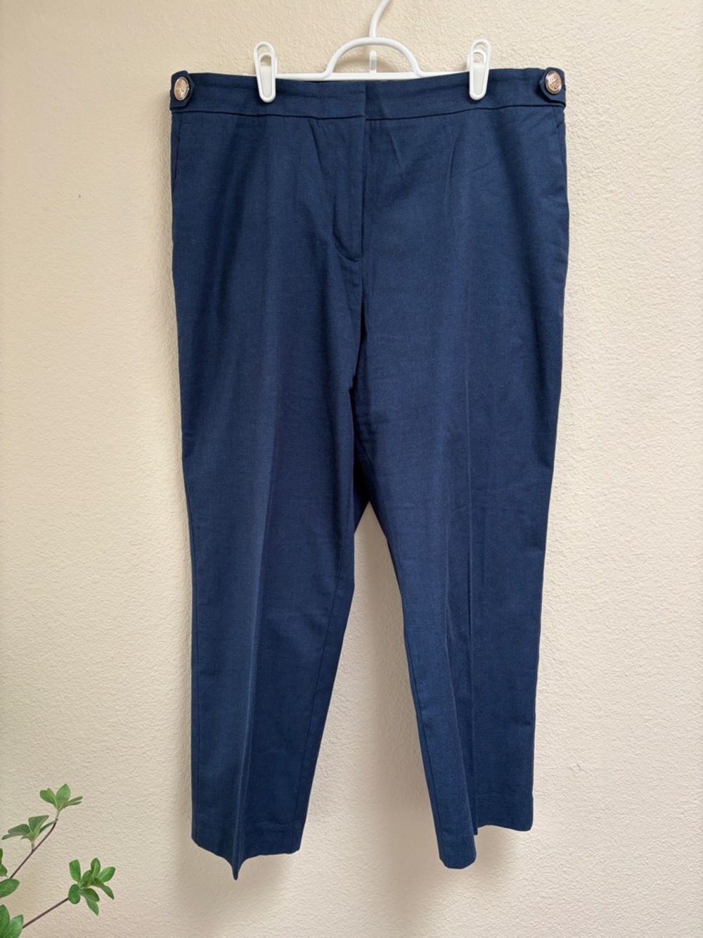 Ann Taylor Navy Blue Eva Curvy Tailored Pants, Size 14P Dress Pants Cotton Blend